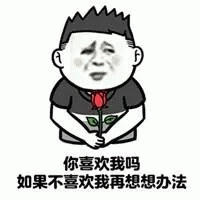 示例图片